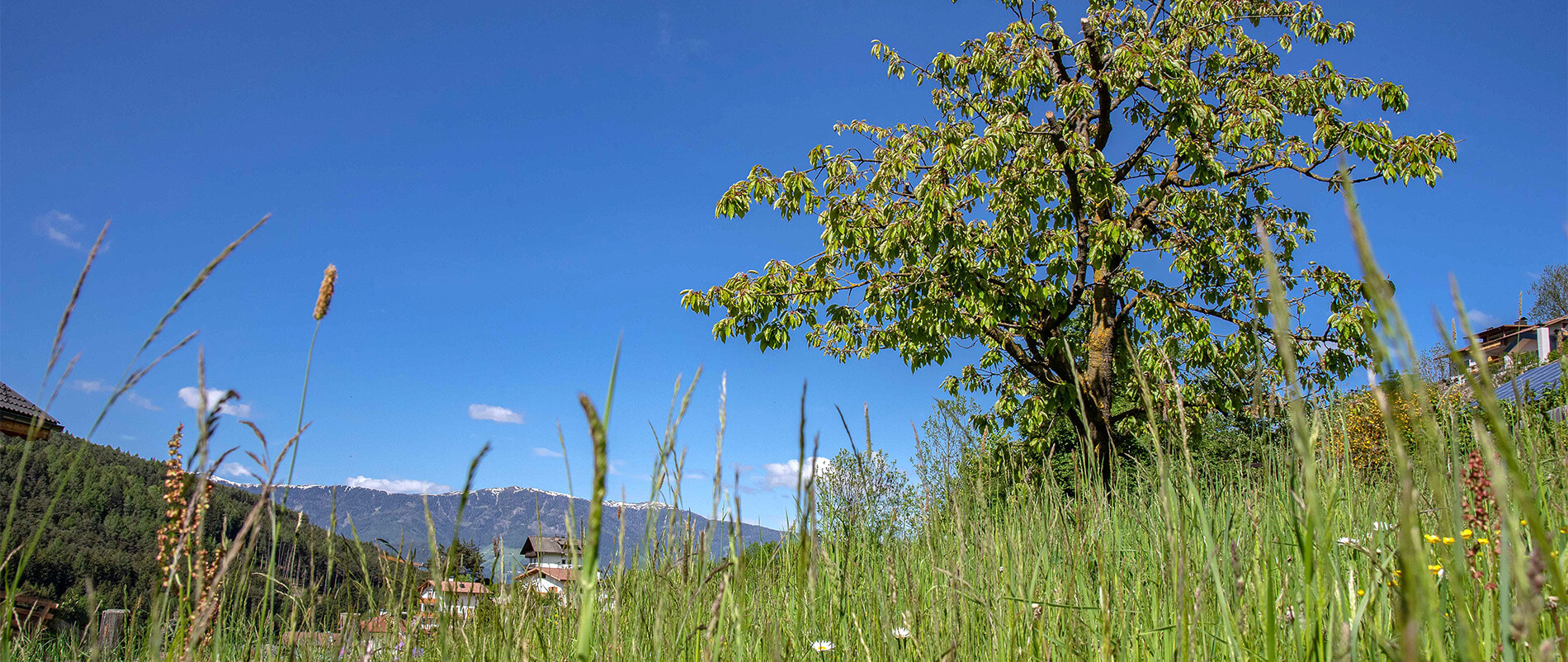 Willmüllerhof in Percha