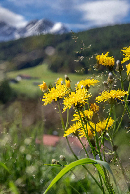 Esperienze di vacanza